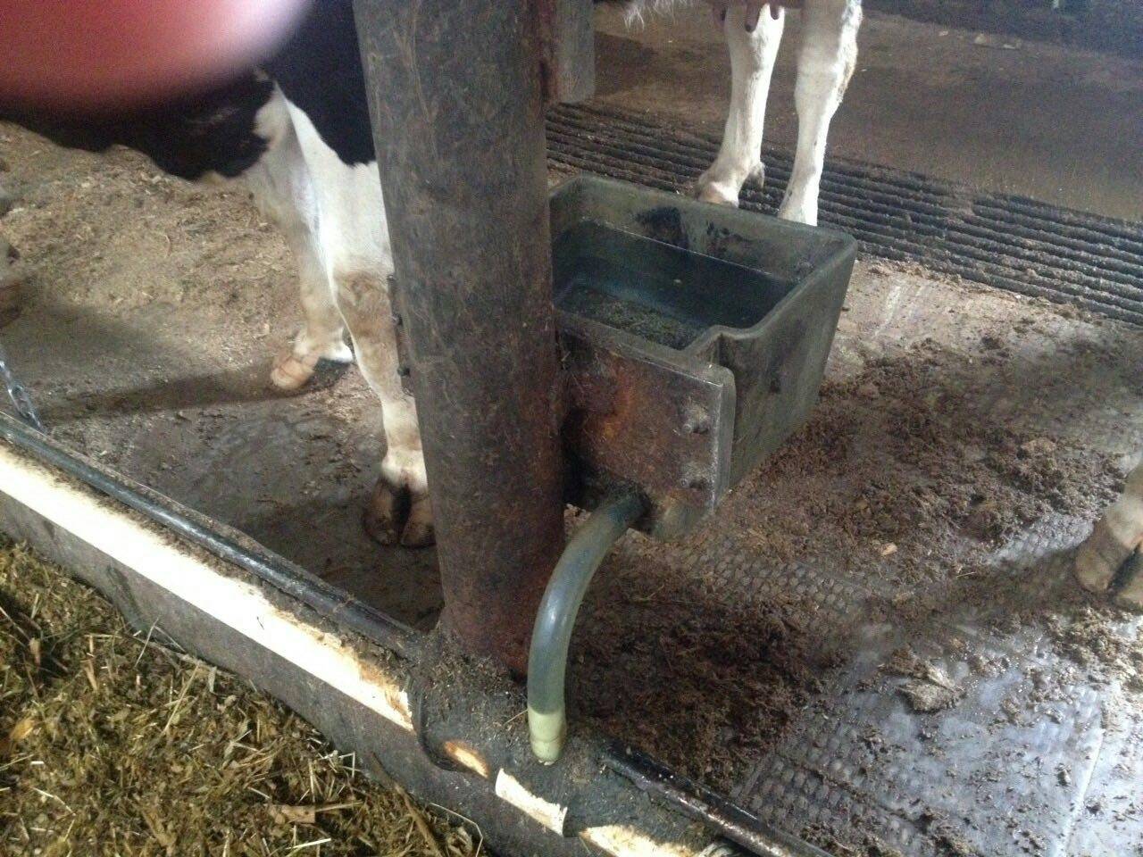 Как сделать кормушку для коровы своими руками: под сено и корм