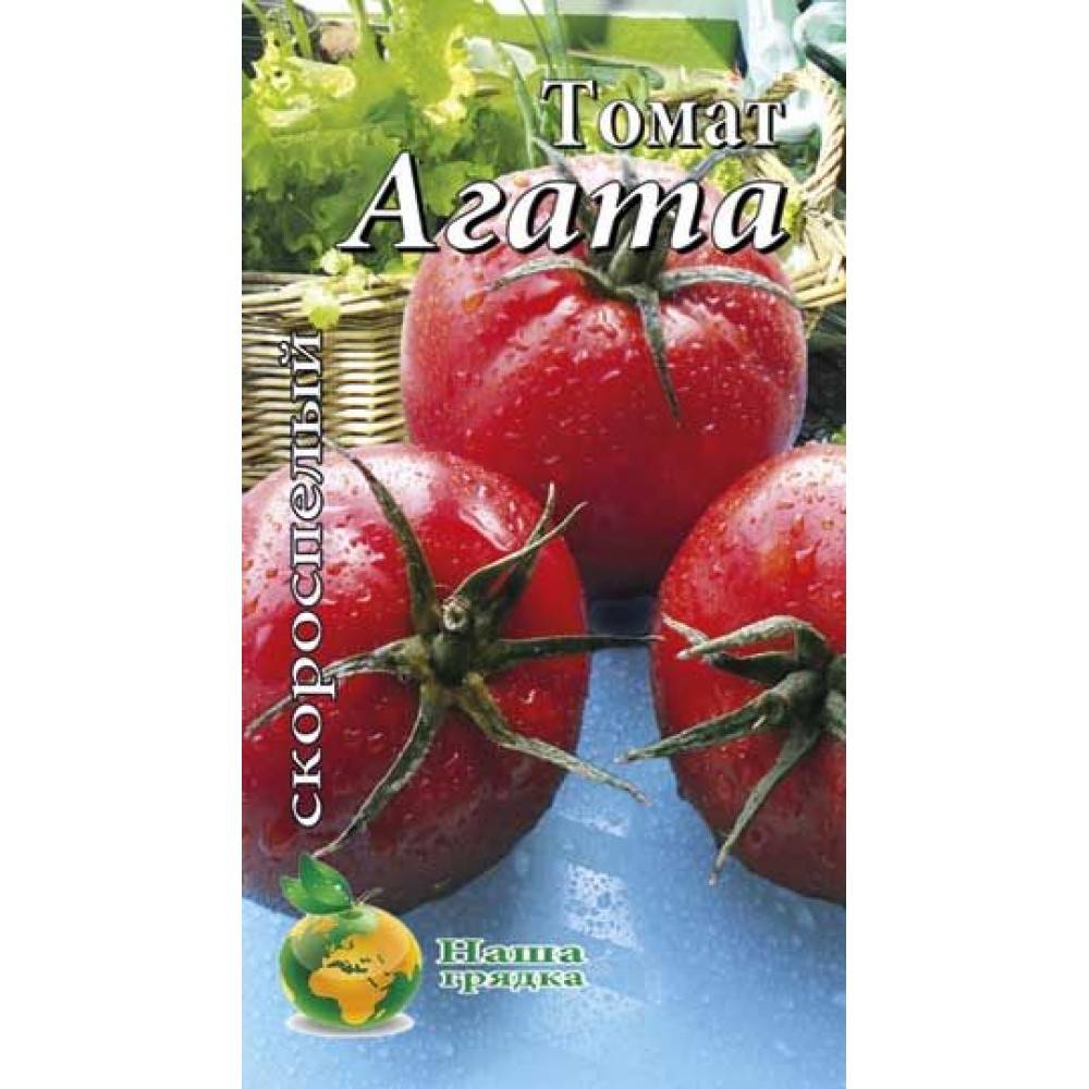 Сортовые особенности томата агата