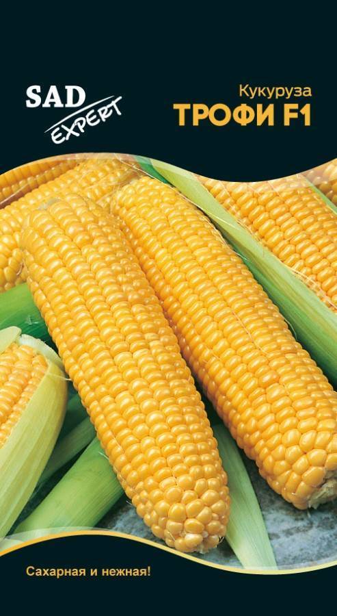 Кукуруза трофи f1: описание сорта, фото, отзывы