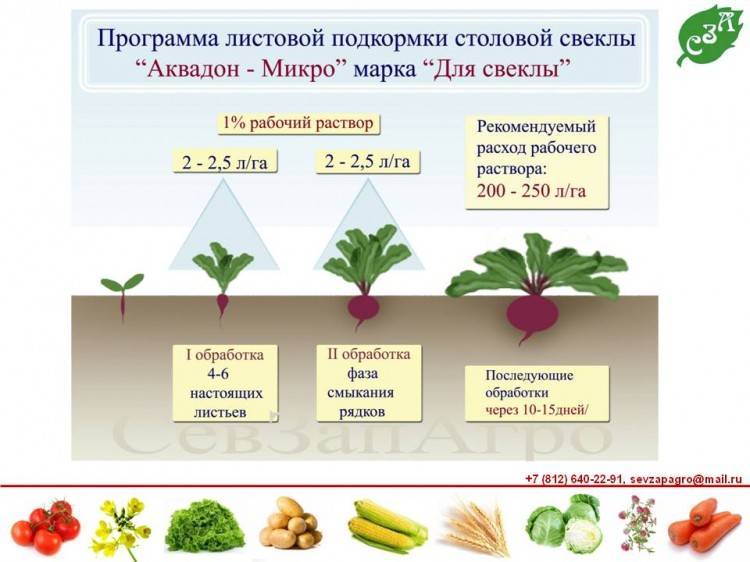 Чем удобрять картофель: лучшие удобрения для картофеля - дачные советы.ру