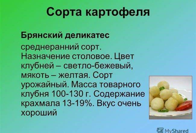 Особенности посадки картофеля ильинский