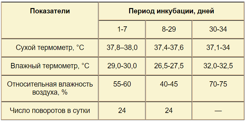 Схема инкубации индоутиных яиц