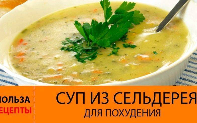 Как есть сельдерей, чтобы похудеть: отзывы и рецепты блюд — allslim.ru