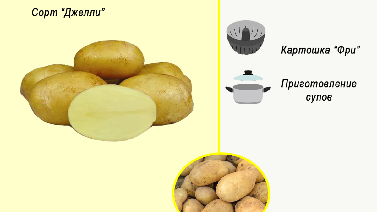 Описание сорта картофеля Джелли — особенности выращивания