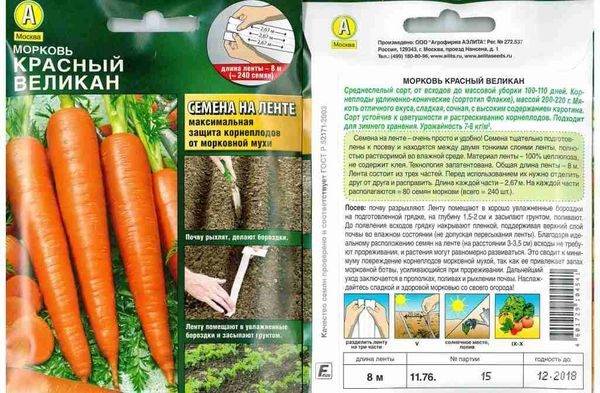 Сорта для сибири ранней моркови и другие аспекты выращивания: как выбрать лучшие скороспелые виды из семян, как осуществить посадку весной в открытом грунте, а также нюансы ухода за овощем