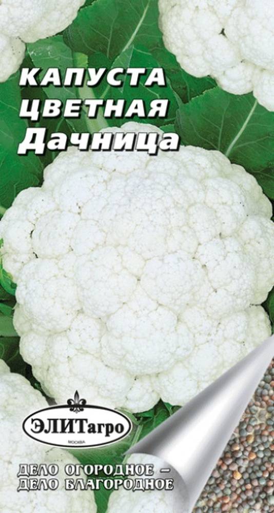Лучшие сорта цветной капусты для россии