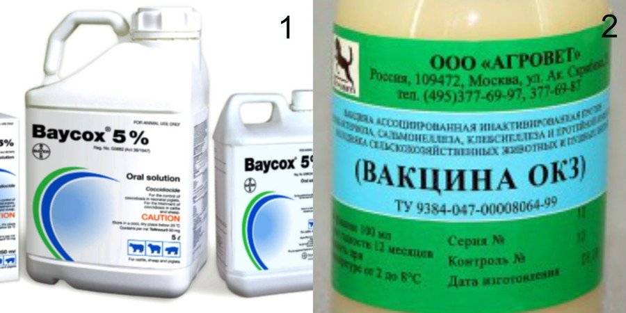 Депрессия — симптомы, виды, методы лечения