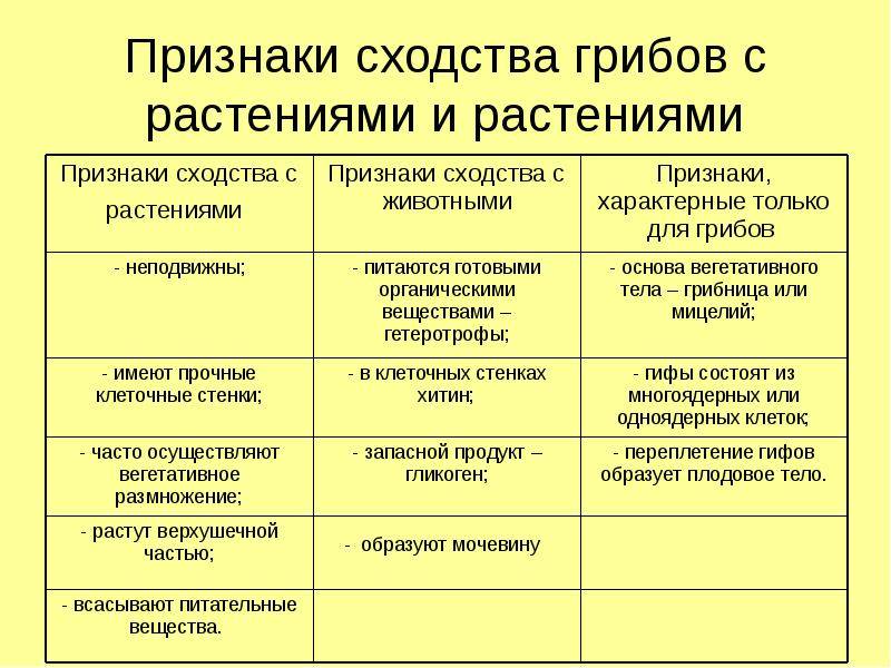 Сходный со старым образцом