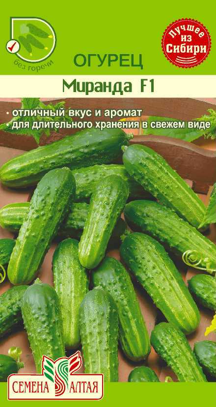 Сорт огурцов миранда: описание, фото, отзывы