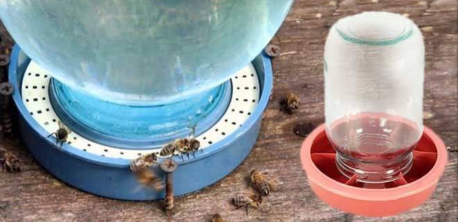 Поилка для пчел - виды, изготовление своими руками, рекомендации