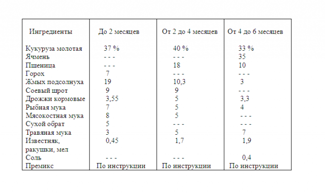 Схема кормления индюшат комбикормом