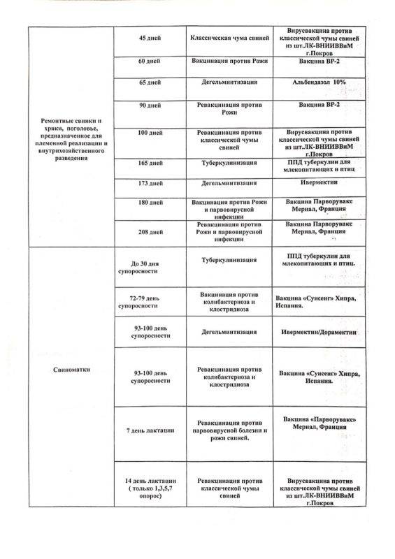 Схема вакцинации поросят с рождения