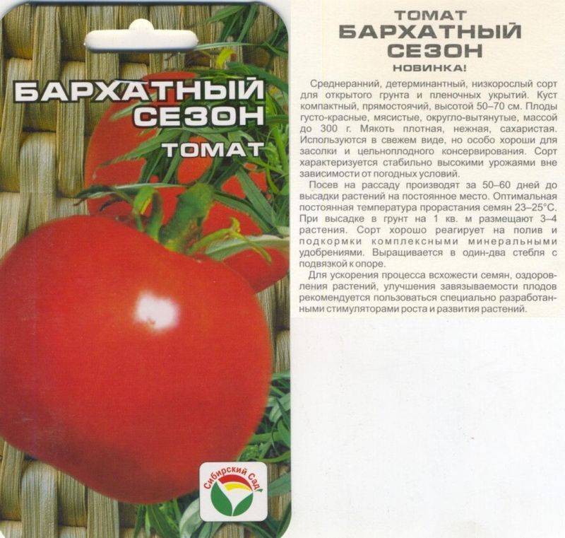 Томаты сибирской селекции очень урожайные: правила выбора, лучшие виды