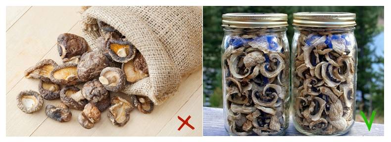 Как и сколько хранить сушеные грибы в домашних условиях: сроки хранения