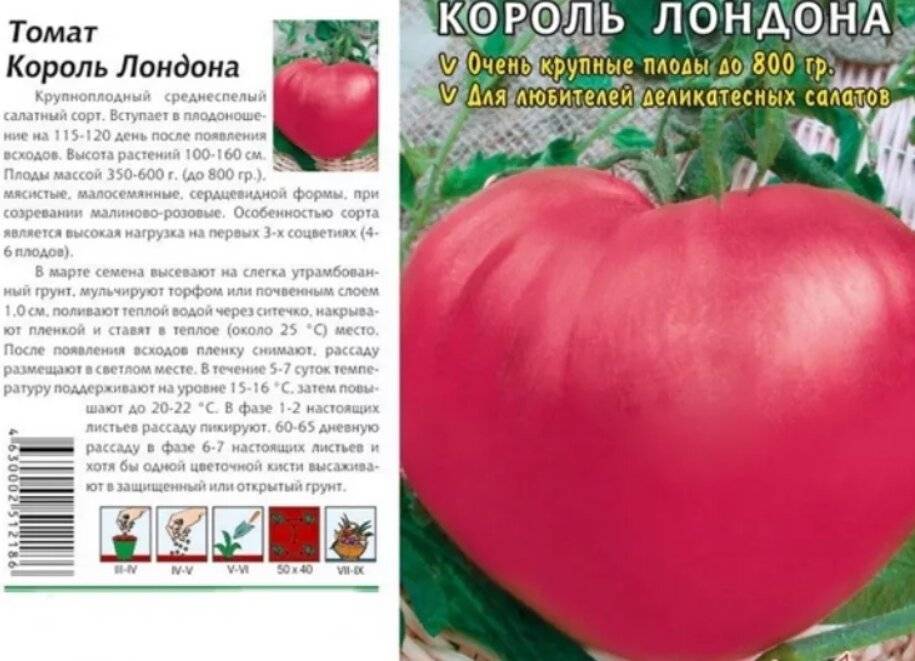 Томат розовый король фото описание сорта