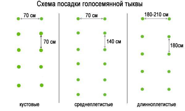 Слава схема посадки