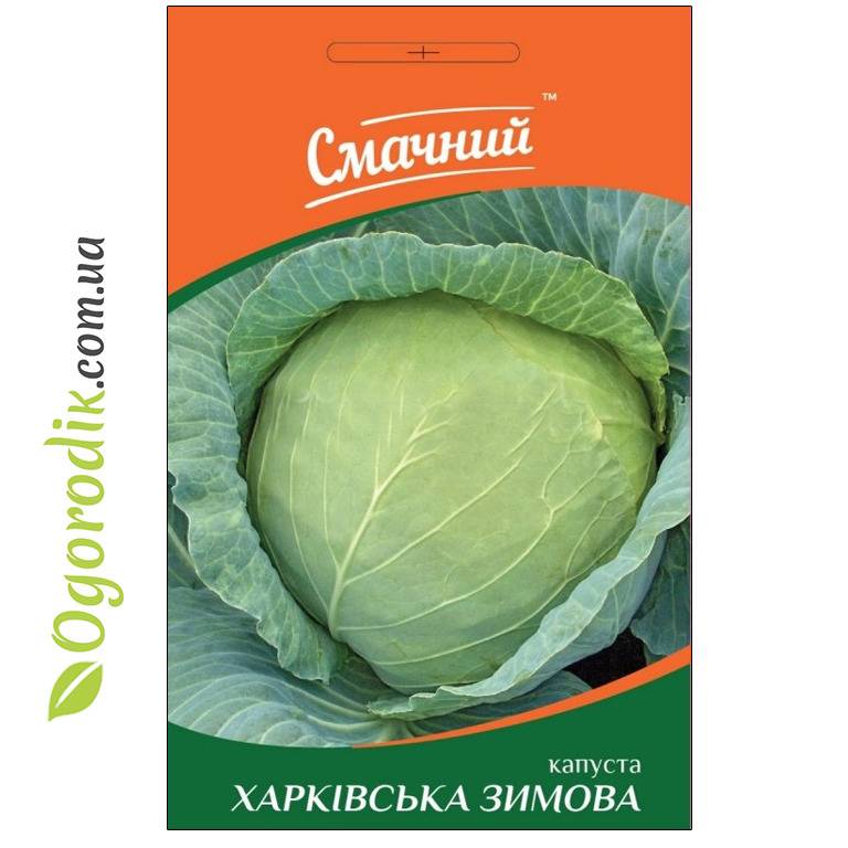 17 основных видов капуст: учимся различать капусту
