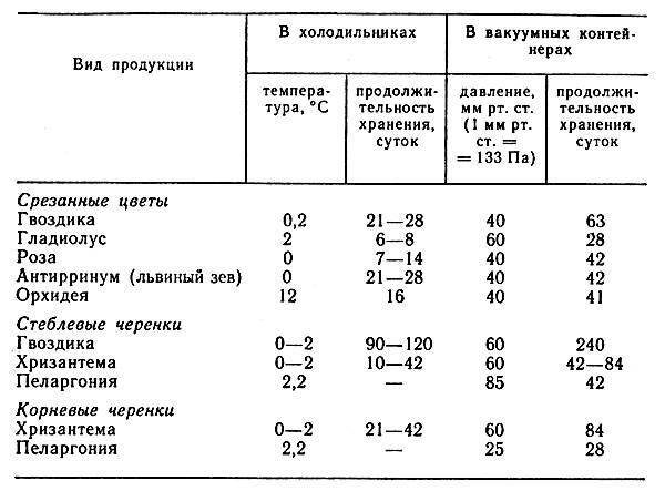 Чтобы тюльпаны дольше стояли в вазе: в какую воду ставить и что добавить чтоб стояли подольше