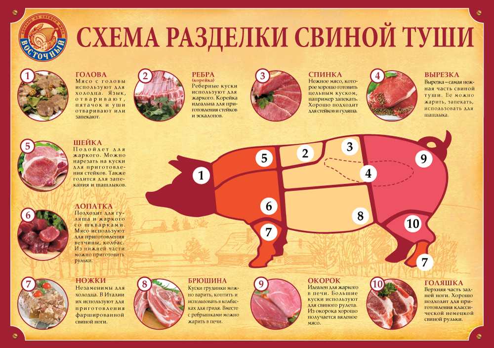 Что можно приготовить из свиной вырезки: вкусные и простые рецепты