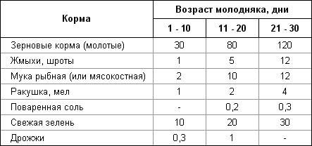 Схема пропойки утят с первых дней