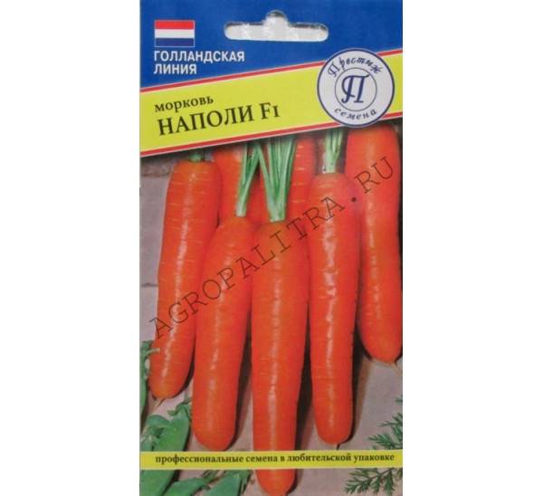 Морковь наполи f1: описание, характеристика, фото, отзывы