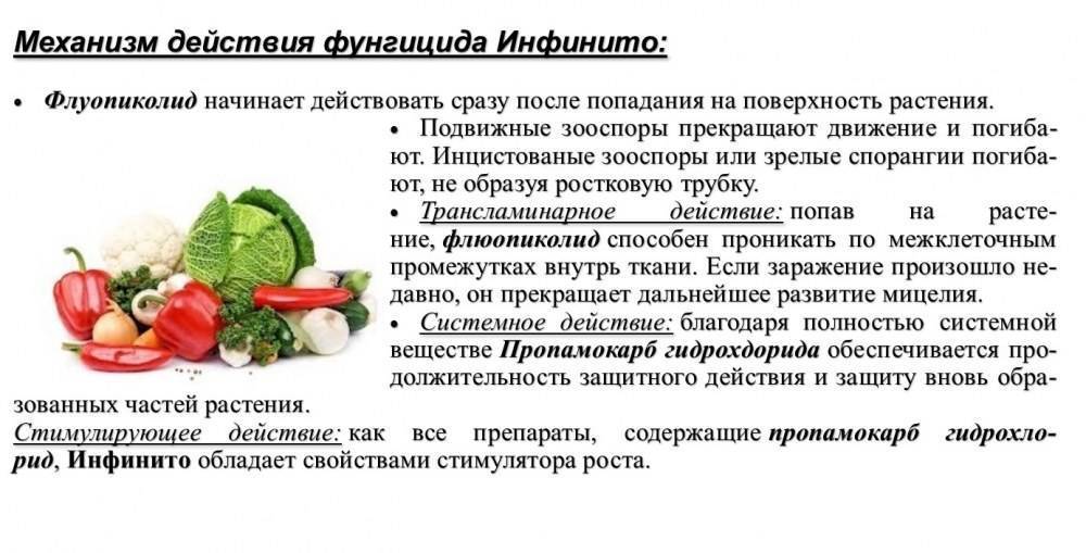 Инструкция по применению фунгицида инфинито, срок ожидания, совместимость, аналоги, стоимость препарата