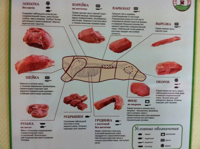 Разделка свиной туши: схема разруба и описание частей