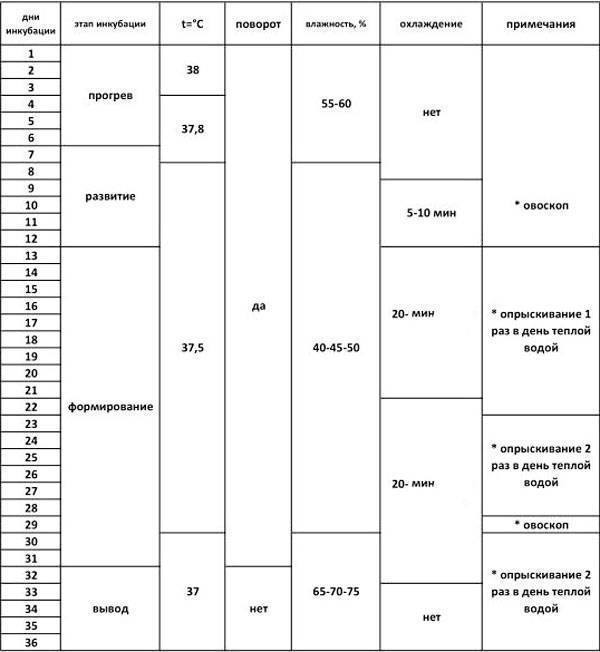 Схема инкубации гусиных яиц в инкубаторе блиц
