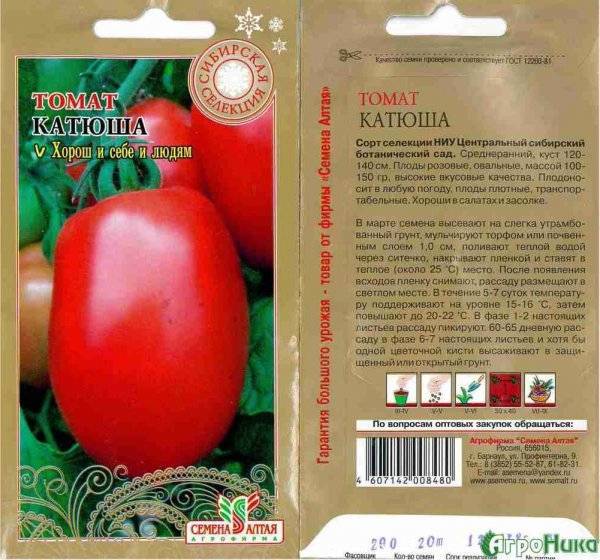 Сорт, которым вы точно останетесь довольны — томат «кемеровец» и секреты правильного ухода за ним