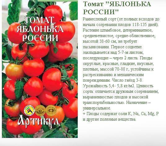 Томат яблонька россии: характеристика и описание сорта, пошаговая инструкция по выращиванию помидоров и советы фермеров