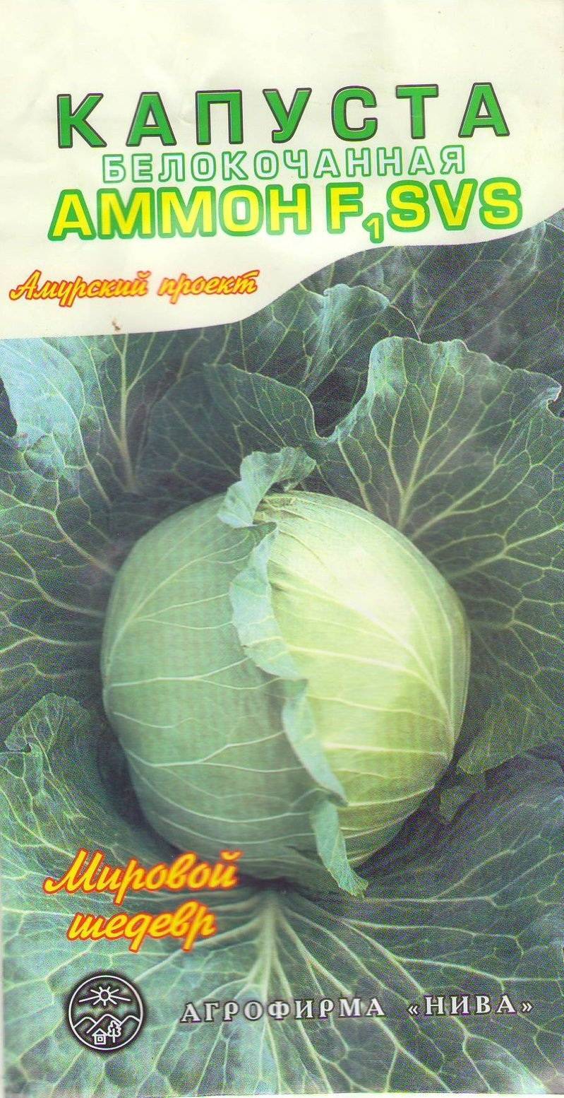 Капуста анкома f1: характеристика гибрида, отзывы о вкусовых качествах, описание урожайности сорта, фото семян