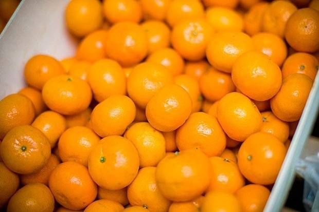 Сезон мандаринов в марокко