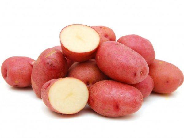 ᐉ сорт картофеля «алена» – описание и фото