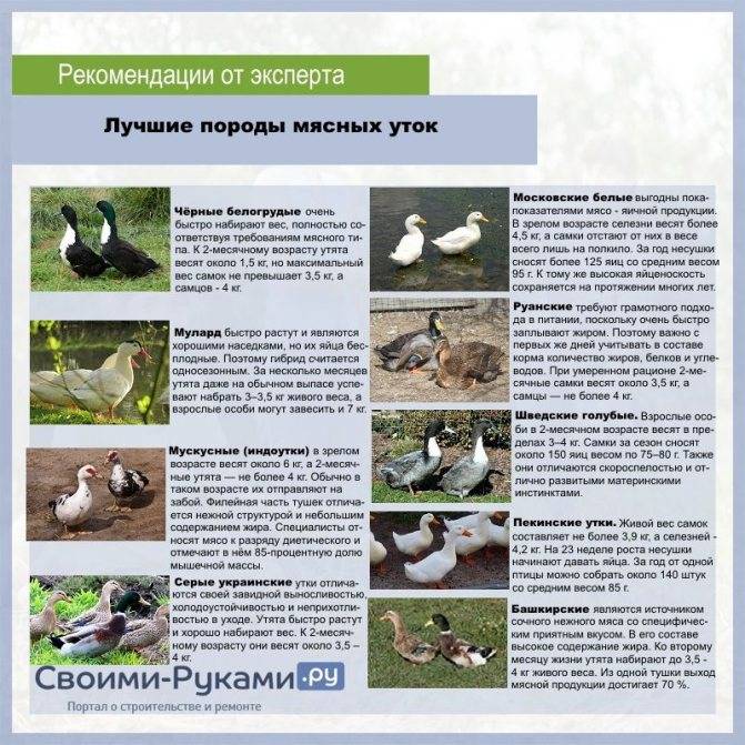 О каких болезнях могут сигнализировать глазные симптомы?