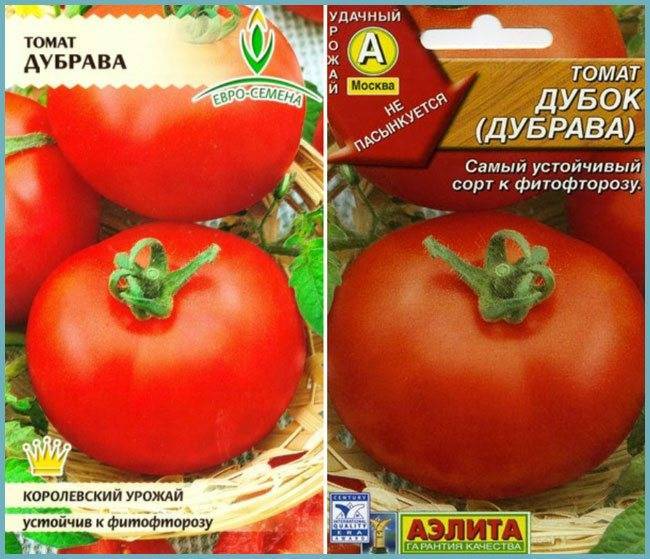 Томат "дубрава": описание сорта, особенности ухода и выращивания, преимущества и недостатки помидора