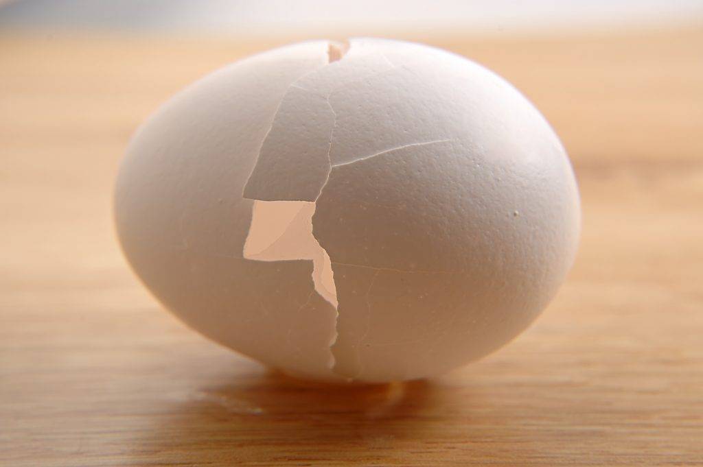 Почему куры несут яйца без скорлупы: причины и решение, фото и видео