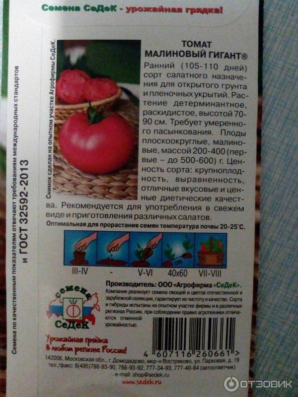 Лучшие сорта томатов для урала 2022 года