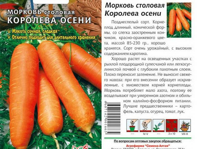 Морковь король осени отзывы - с огорода