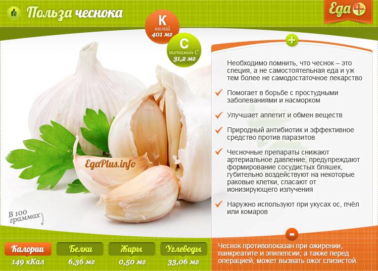 Польза и вред чеснока для здоровья — 10 фактов о его влиянии на организм человека