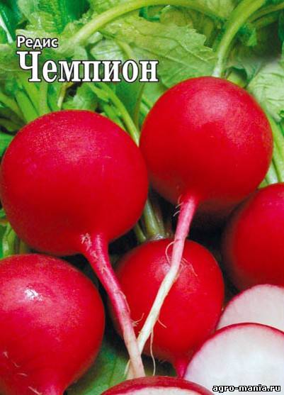 Выращивание редиса на подоконнике зимой: посадка семян, уход, агротехника