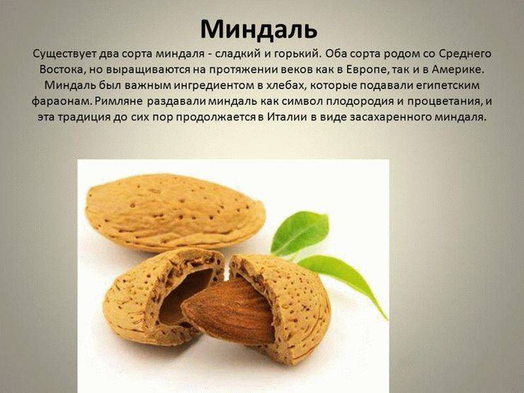 Отравление орехами - что делать? фитомуцил сорбент форте