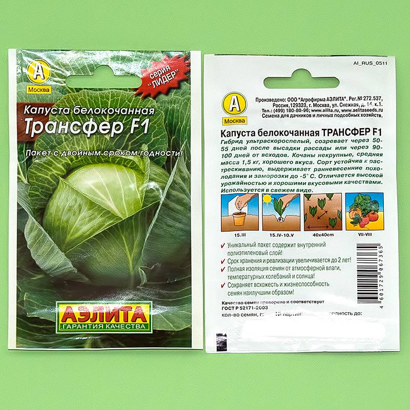 ᐉ капуста трансфер: описание сорта - zooon.ru