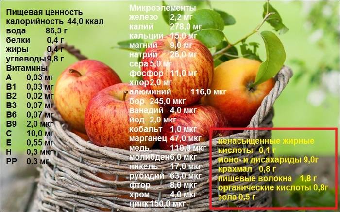 Зеленое яблоко. калорийность 1 шт, на 100 г, бжу, виды, как употреблять на диете