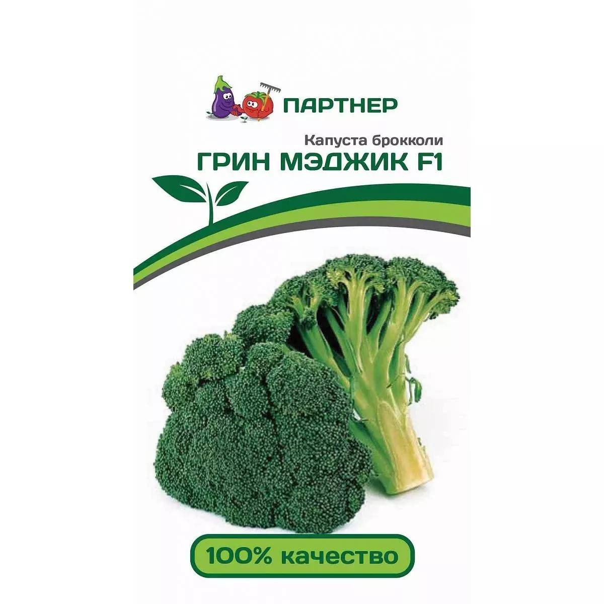 Лучшие сорта и гибриды брокколи
