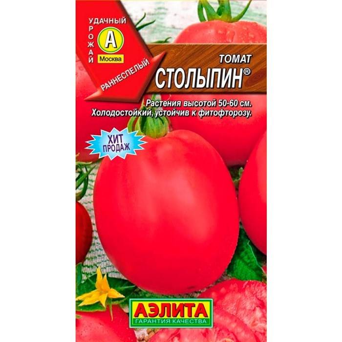 Уникальный томат столыпин: отзывы тех, кто сажал и 30 фото