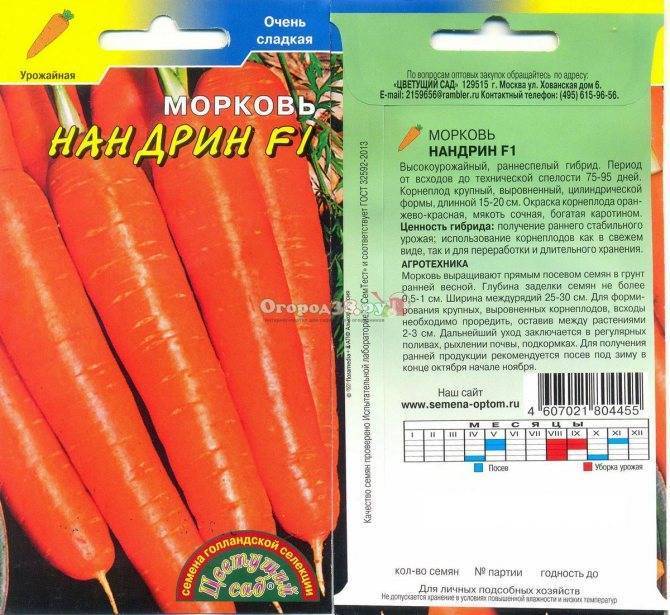 Лучшие ранние сорта моркови: фото, описание, отзывы |