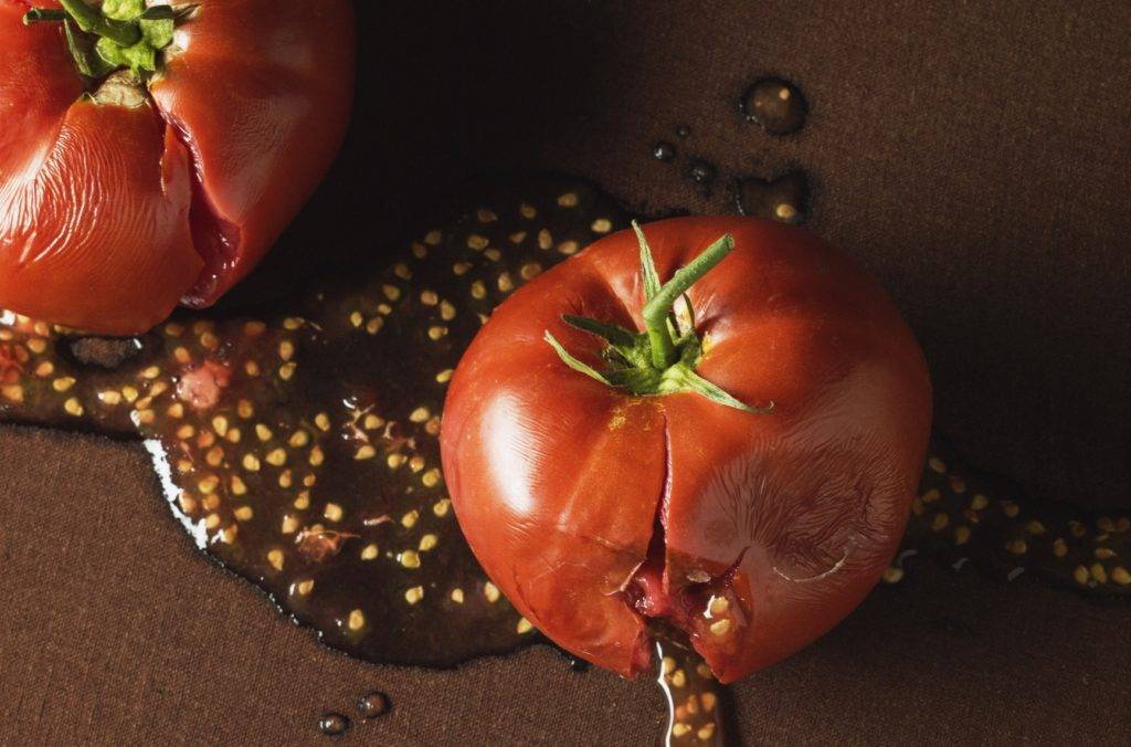 Как правильно собрать семена со своих помидор: пошагово с видео