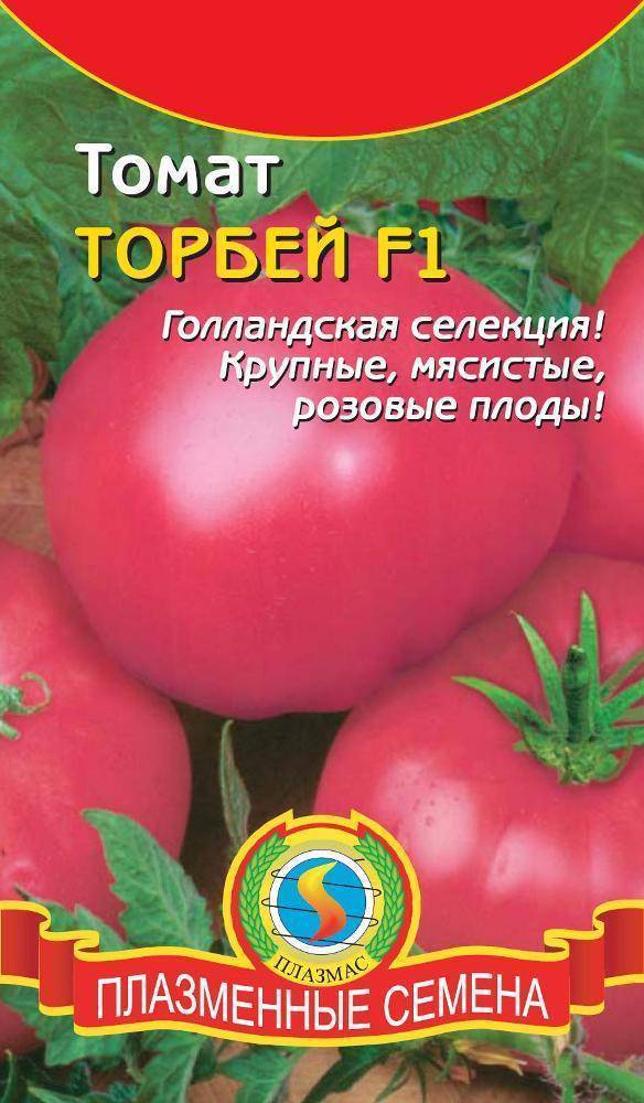Томат «торбей f1»: описание и характеристика, выращивание, фото