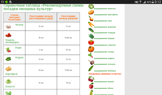 Выращиваем тыкву рассадой: как посадить семена и высадить рассаду в грунт — как сажать тыкву в открытый грунт рассадой — про огород