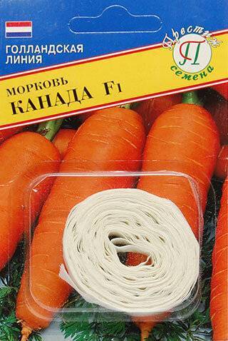 Морковь канада f1: характеристика и описание сорта, фото, отзывы, урожайность, посадка и уход